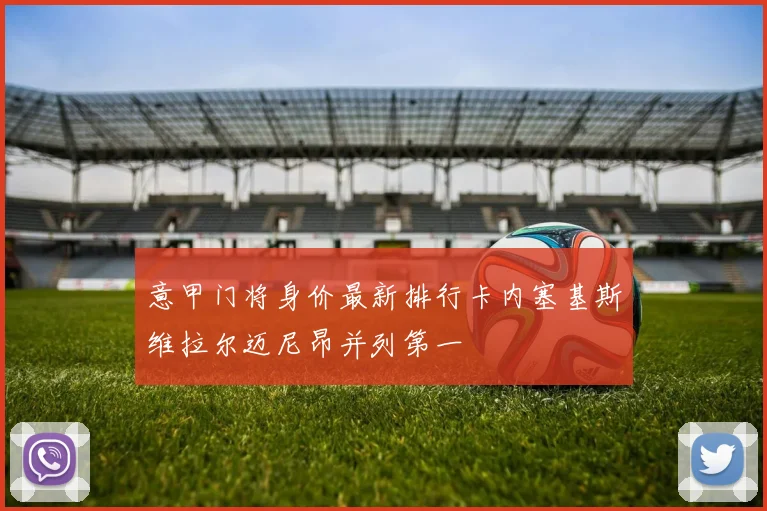 意甲门将身价最新排行卡内塞基斯维拉尔迈尼昂并列第一